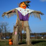 fall scarecrow pumpkin festival